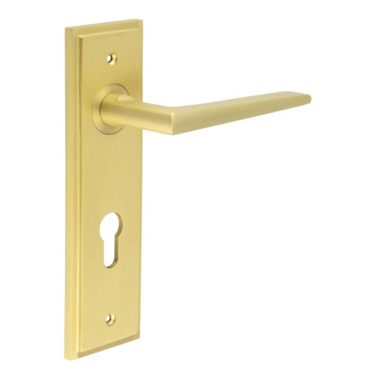 Frelan Burlington Mayfair Door Handle on Din Euro Profile Lock Plate Satin Brass BUR10KIT246 Consist of BUR10SB and BUR455SB