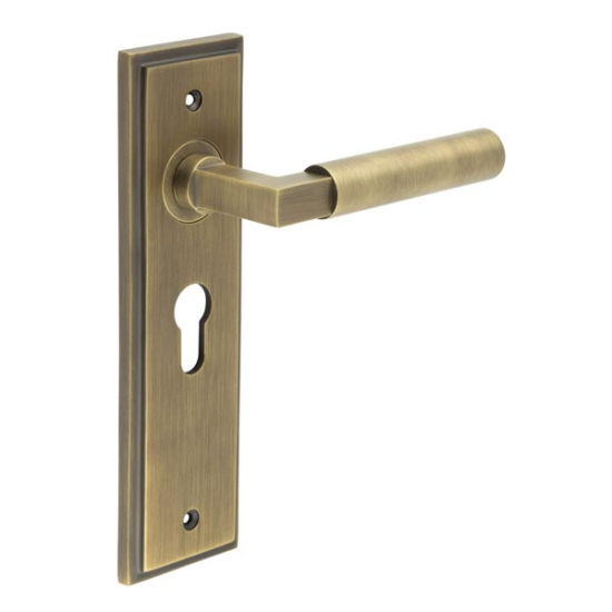 Frelan Burlington Westminster Door Handle on Euro Profile Lock Plate Antique Brass BUR30KIT11 Consist of BUR30AB and BUR454AB