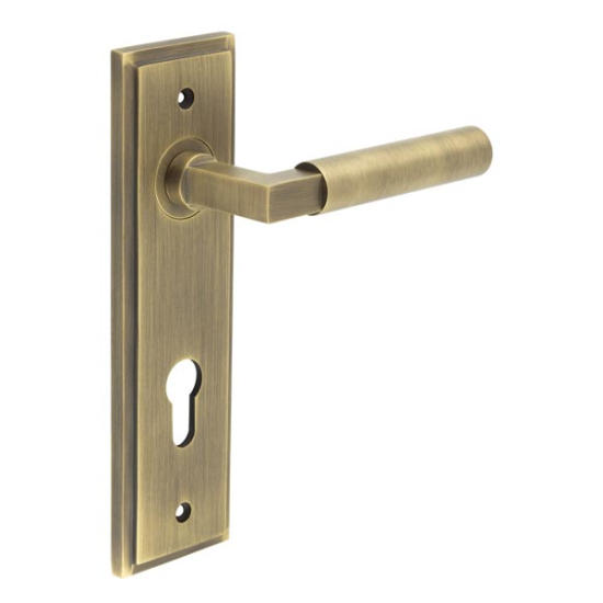 Frelan Burlington Westminster Door Handle on Din Euro Profile Lock Plate Antique Brass BUR30KIT12 Consist of BUR30AB and BUR455AB