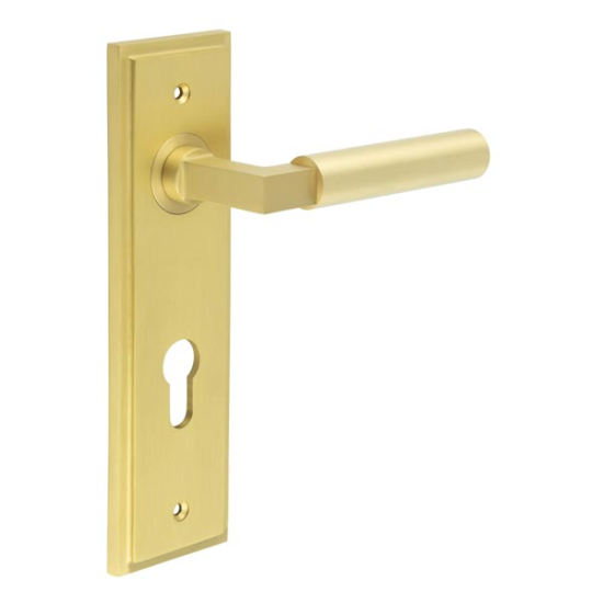 Frelan Burlington Westminster Door Handle on Din Euro Profile Lock Plate Satin Brass BUR30KIT246 Consist of BUR30SB and BUR455SB