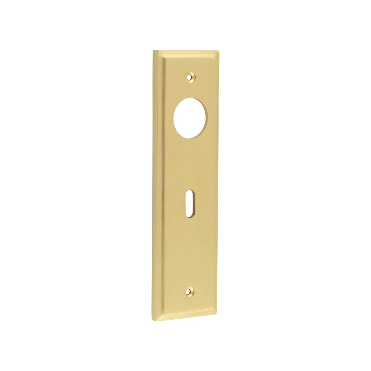 Frelan Burlington Standard Lock Plate Choices 200mm BUR451SB Satin Brass