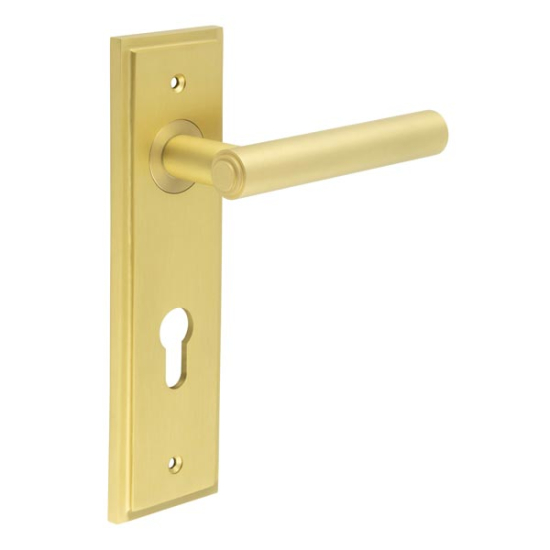 Frelan Burlington Richmond Lever on PlateDin Euro Profile Lock Plate Satin Brass BUR45KIT246 Consist of BUR45SB and BUR455SB