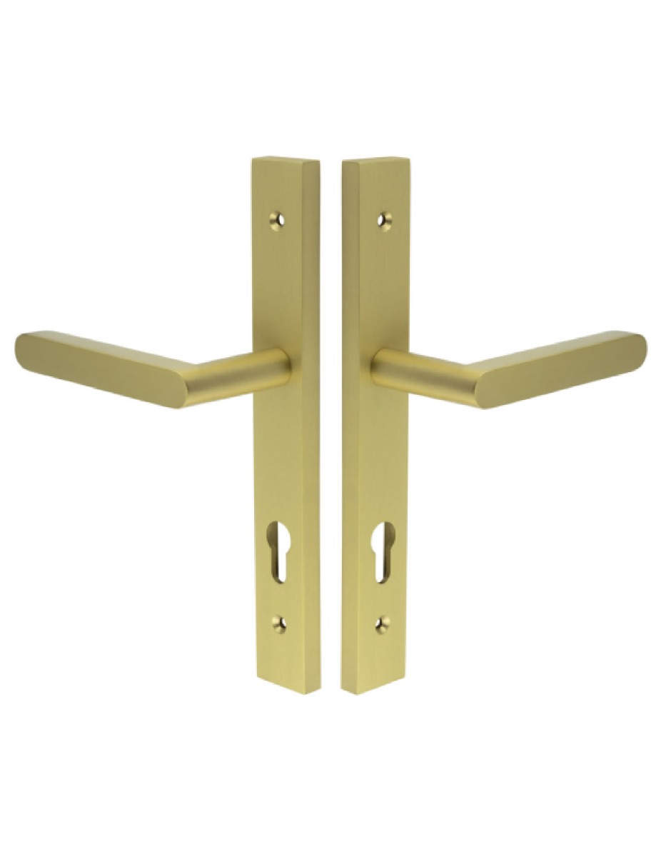 CR-101 Satin Brass Multi Point Backplate Door Handle CR-101G4SB by Frelan