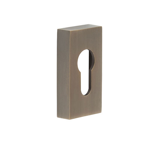 CRES Rectangular Antique Brass Euro Escutcheon CRES404AB by Frelan