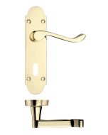 Zoo Hardware PR011EB Project Oxford Lever on Lock Backplate - 168mm x 42mm Electro Brass
