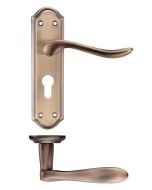 Zoo Hardware PR071EPFB Project Lincoln Lever on Europrofile Lock Backplate 180x48mm Florentine Bronze