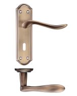 Zoo Hardware PR071FB Project Lincoln Lever on Lock Backplate 180x48mm Florentine Bronze