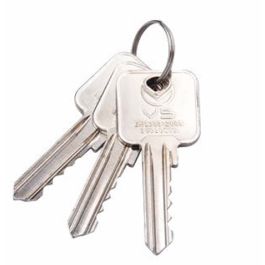 VIER V5MK Master Key – Zinc Plate Key Cut