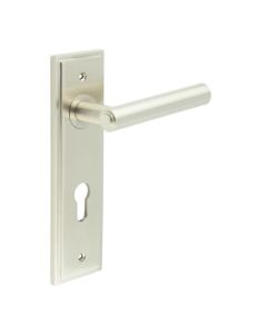 Burlington Richmond Lever on Plate BUR45KIT324