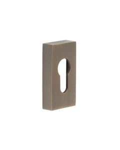 CRES Rectangular Antique Brass Euro Escutcheon CRES404AB by Frelan