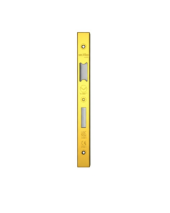 Vier VDAP04-S-PVDG Spare Forend & Strike Pack T/S DIN Sash & WC SquarePVDG