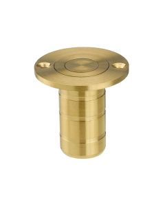 Zoo Hardware ZAS14A-PVDSB Dust socket for flush bolt-to Suit Wood - Satin Brass Finish