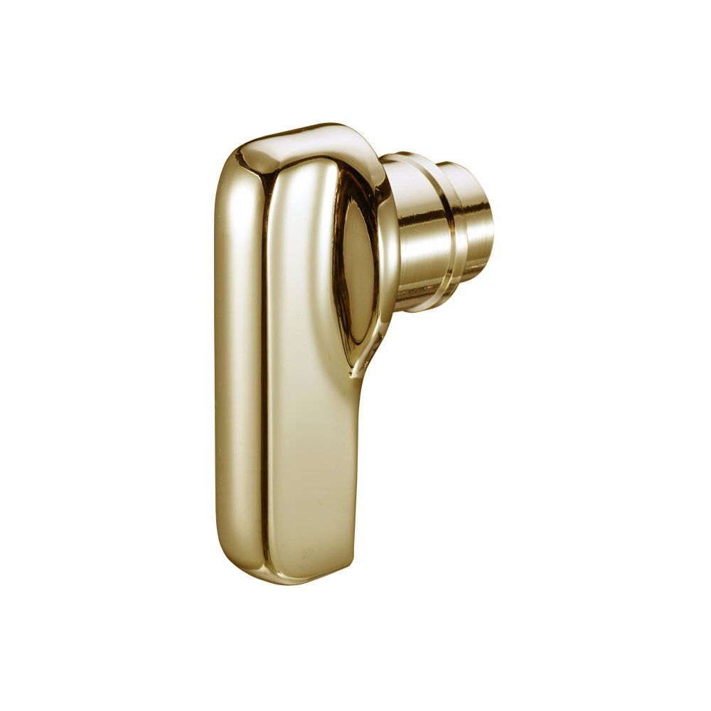 Zoo Hardware DLTPB Disabled Large Turn Polished Brass