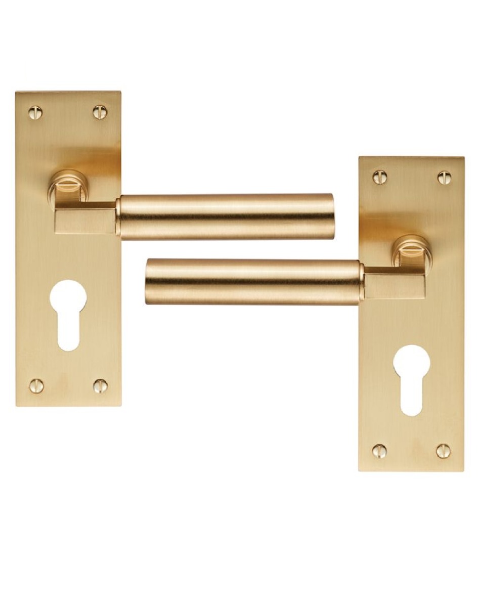 Carlisle Brass EUL041YSB Amiata Lever On Backplate - Euro 47.5mm Satin Brass