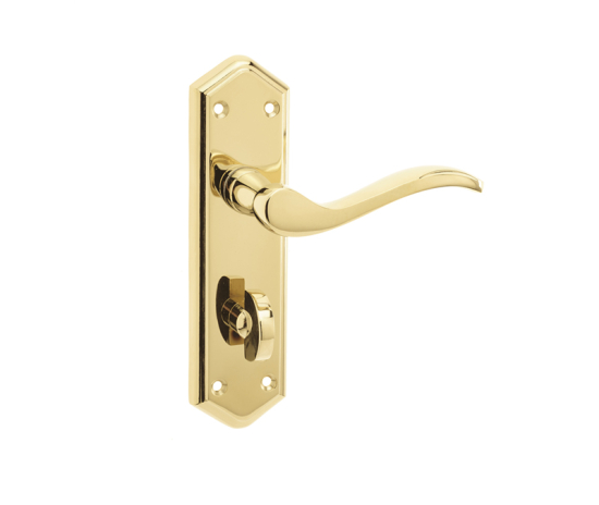 Frelan Paris Suite Door Handles on Bathroom Plate PVD Brass 168mm JV283PVD