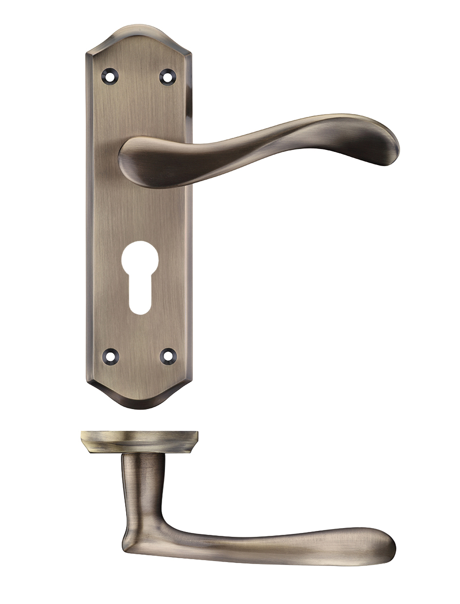 Zoo Hardware PR061EPFB Project Asti Lever on Europrofile Lock Backplate Florentine Bronze
