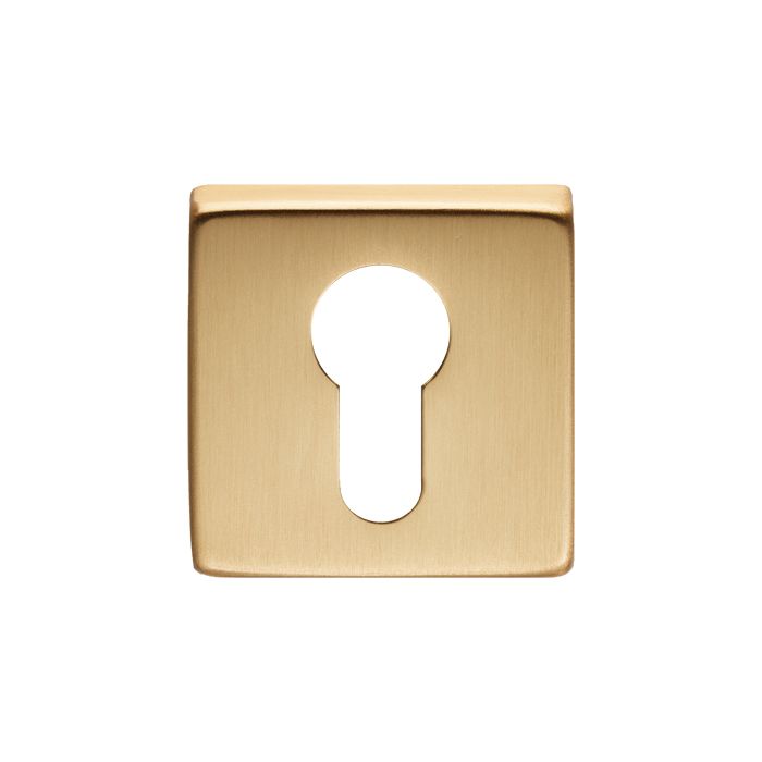 Carlisle Brass QE001SB Escutcheon - Euro Profile On Concealed Fix Square Rose Osa (Satin Brass) Satin Brass