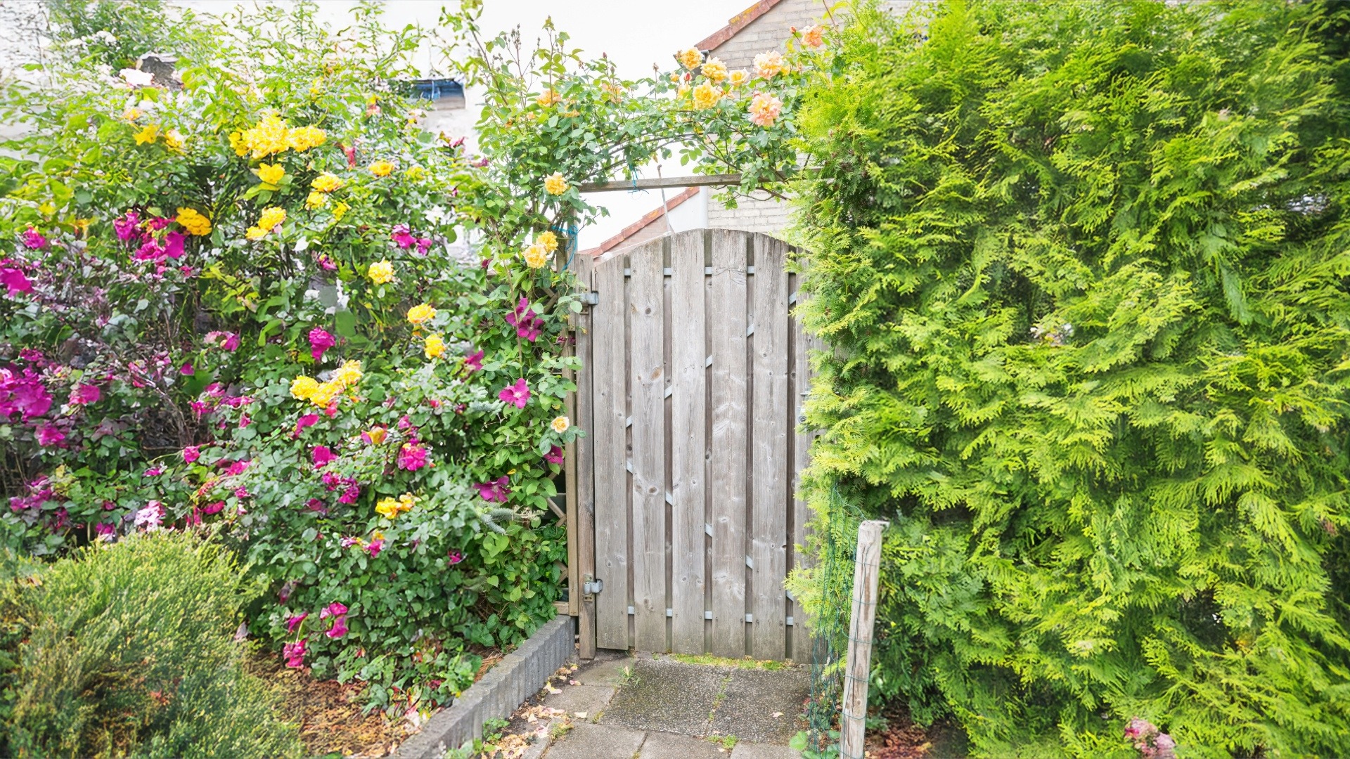 A garden gate sits between a flower bed and a Leylandii hedge